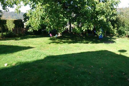 Garten vorher